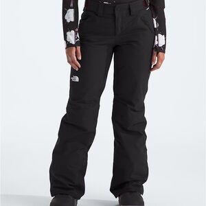 The North Face Women’s Freedom Insulated Pants